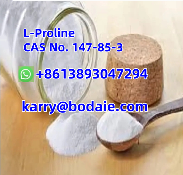 Best Price Creatine Monohydrate CAS 6020877